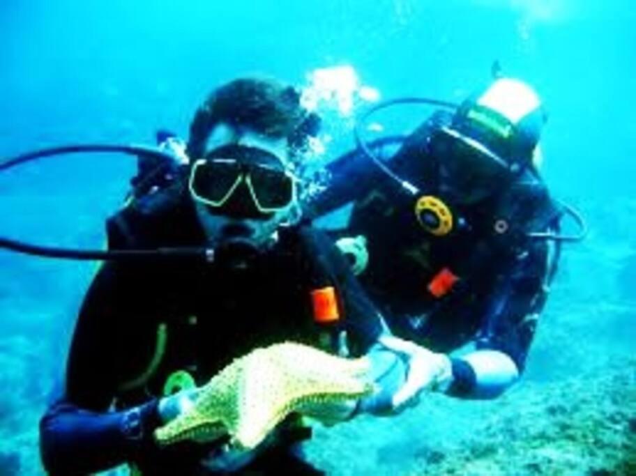 Caribe Brasileiro A 2 Passos Da Areia Διαμέρισμα Arraial do Cabo Εξωτερικό φωτογραφία