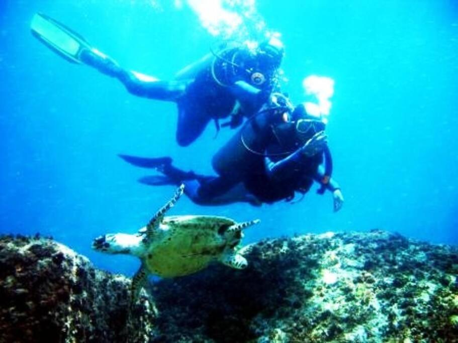 Caribe Brasileiro A 2 Passos Da Areia Διαμέρισμα Arraial do Cabo Εξωτερικό φωτογραφία