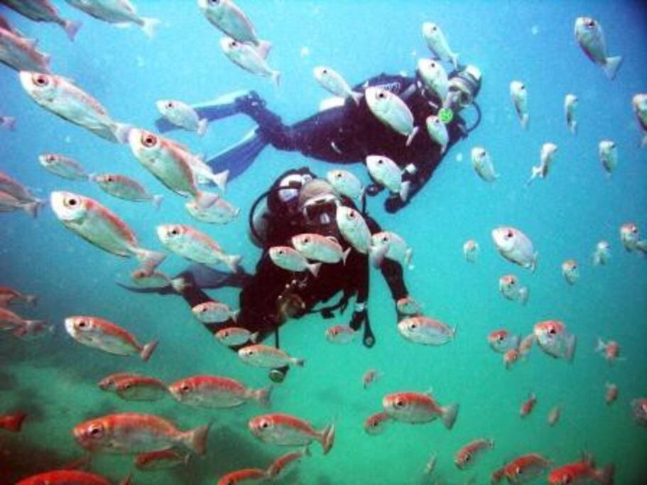 Caribe Brasileiro A 2 Passos Da Areia Διαμέρισμα Arraial do Cabo Εξωτερικό φωτογραφία